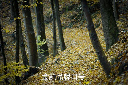 金融品牌口號(hào)