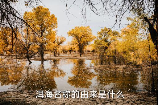 關于云云南洱海的股票