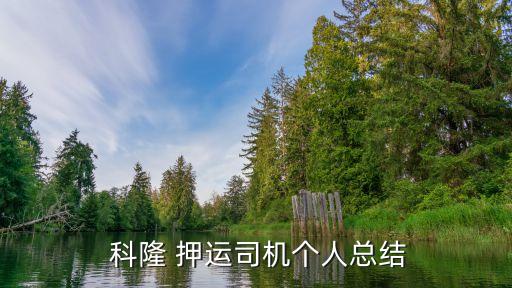  科隆 押運司機個人總結