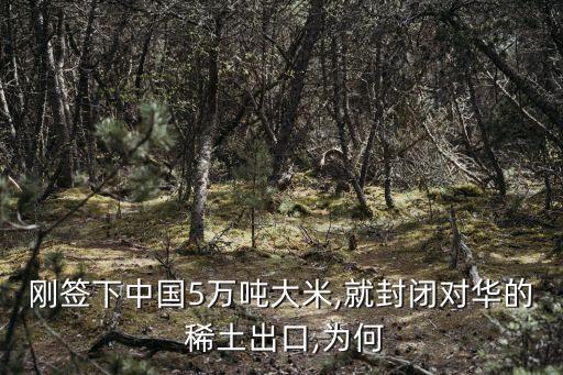 中國(guó)稀土被誰(shuí)操控