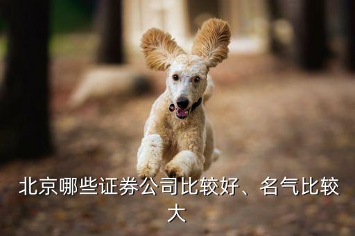  北京哪些證券公司比較好、名氣比較大