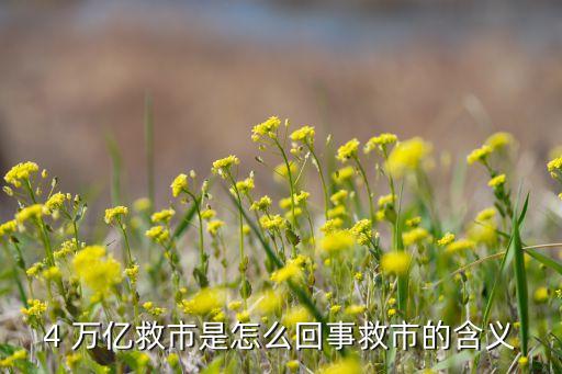 2008年中國(guó)4萬億