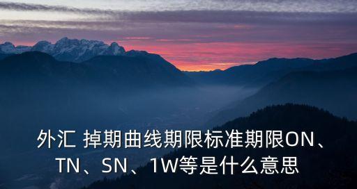  外匯 掉期曲線期限標(biāo)準(zhǔn)期限ON、TN、SN、1W等是什么意思