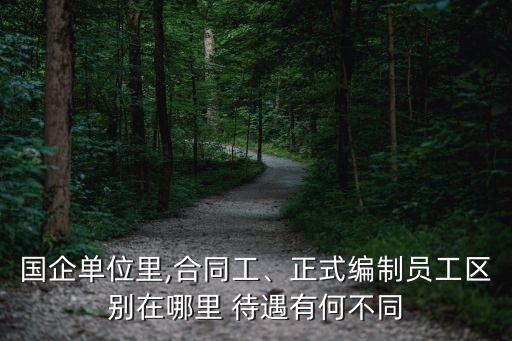 國企單位里,合同工、正式編制員工區(qū)別在哪里 待遇有何不同