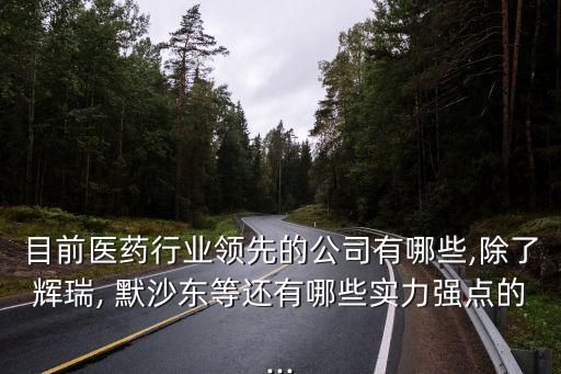 目前醫(yī)藥行業(yè)領(lǐng)先的公司有哪些,除了輝瑞, 默沙東等還有哪些實力強(qiáng)點的...