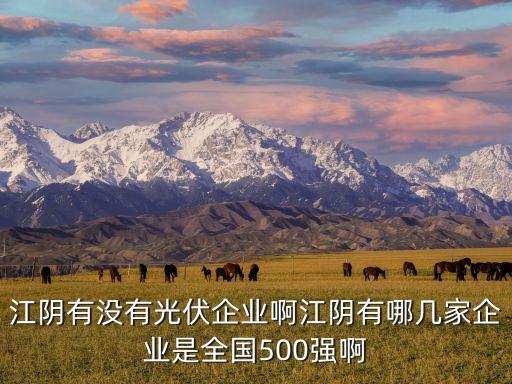 江陰有沒有光伏企業(yè)啊江陰有哪幾家企業(yè)是全國(guó)500強(qiáng)啊