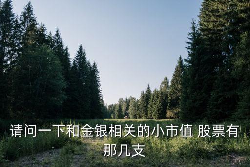 請(qǐng)問一下和金銀相關(guān)的小市值 股票有那幾支