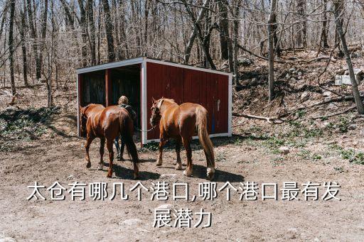  太倉(cāng)有哪幾個(gè)港口,哪個(gè)港口最有發(fā)展?jié)摿? class=