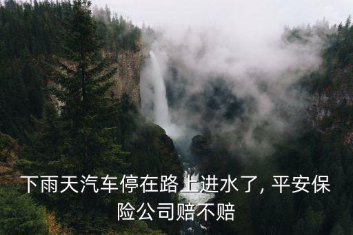 下雨天汽車(chē)停在路上進(jìn)水了, 平安保險(xiǎn)公司賠不賠
