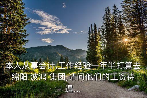 本人從事會(huì)計(jì),工作經(jīng)驗(yàn)一年半打算去綿陽(yáng) 波鴻 集團(tuán),請(qǐng)問他們的工資待遇...