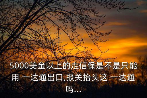 5000美金以上的走信保是不是只能用 一達通出口,報關抬頭這 一達通嗎...