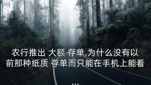 農(nóng)業(yè)銀行大額存單怎么查詢(xún),2023年農(nóng)業(yè)銀行大額存單利率