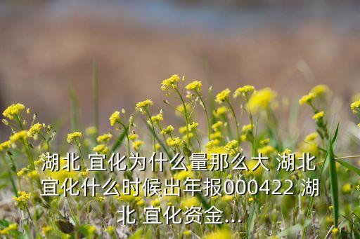 湖北 宜化為什么量那么大 湖北 宜化什么時(shí)候出年報(bào)000422 湖北 宜化資金...