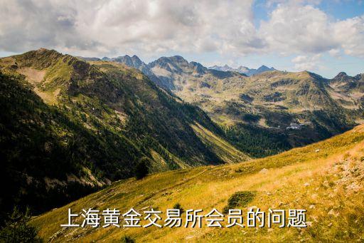 天鑫洋上?；刭?gòu)