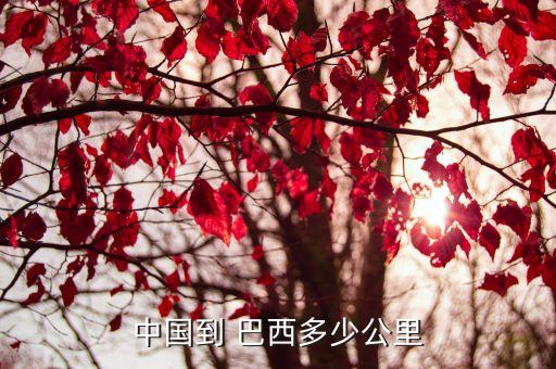 中國(guó)到 巴西多少公里