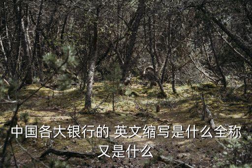 中國(guó)各大銀行的 英文縮寫(xiě)是什么全稱(chēng)又是什么