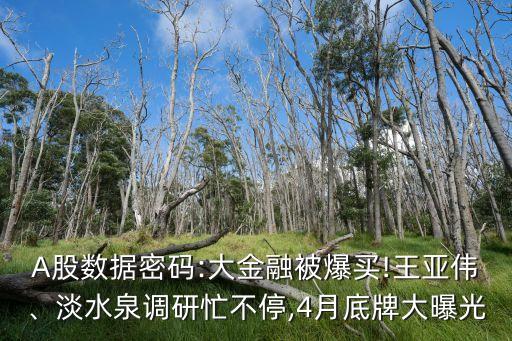 A股數(shù)據(jù)密碼:大金融被爆買!王亞偉、淡水泉調(diào)研忙不停,4月底牌大曝光