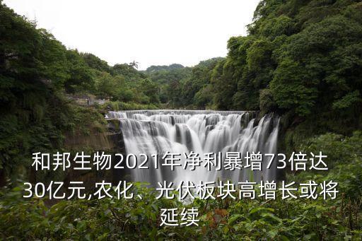 和邦生物2021年凈利暴增73倍達(dá)30億元,農(nóng)化、光伏板塊高增長(zhǎng)或?qū)⒀永m(xù)