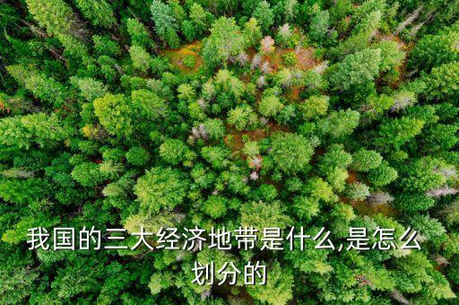 我國的三大經(jīng)濟(jì)地帶是什么,是怎么 劃分的