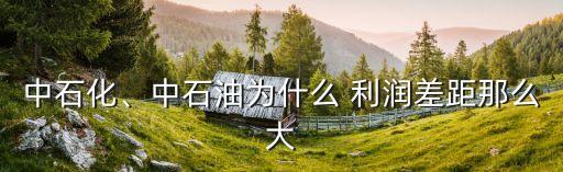 中石化、中石油為什么 利潤(rùn)差距那么大