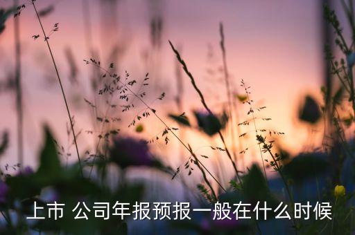  上市 公司年報預(yù)報一般在什么時候