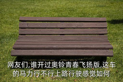 網(wǎng)友們,誰(shuí)開過奧鈴青春飛揚(yáng)版,這車的馬力行不行上路行駛感覺如何