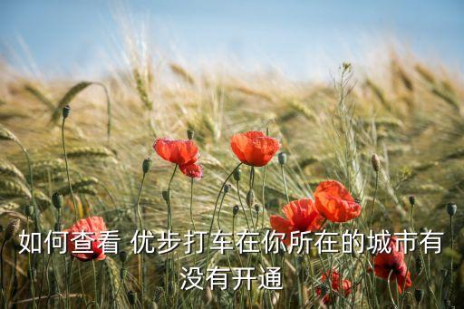 上海出租車優(yōu)步,出租車計(jì)步幾公里