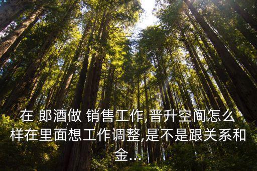 在 郎酒做 銷(xiāo)售工作,晉升空間怎么樣在里面想工作調(diào)整,是不是跟關(guān)系和金...