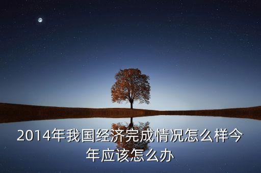 2014年我國經(jīng)濟完成情況怎么樣今年應(yīng)該怎么辦