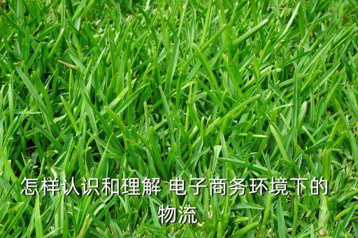 怎樣認識和理解 電子商務(wù)環(huán)境下的 物流