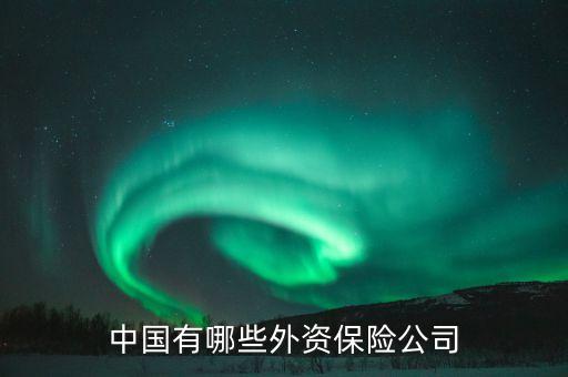 中國有哪些外資保險(xiǎn)公司