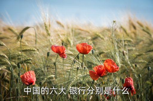 中國境內的銀行