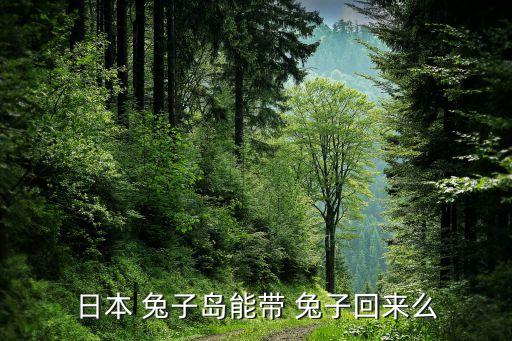 美國(guó)從中國(guó)兔子入境