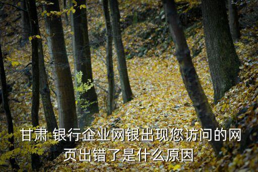  甘肅 銀行企業(yè)網(wǎng)銀出現(xiàn)您訪問(wèn)的網(wǎng)頁(yè)出錯(cuò)了是什么原因