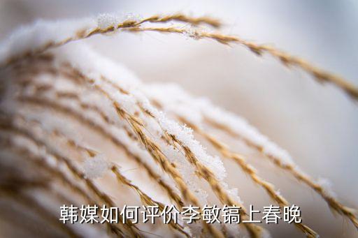  韓媒如何評價(jià)李敏鎬上春晚