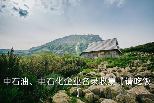 中石油、中石化企業(yè)名錄收集【請吃飯】