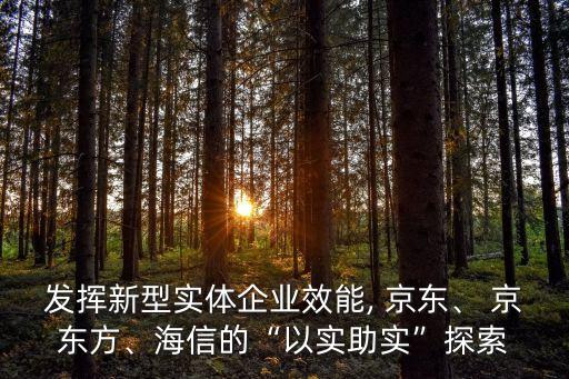 發(fā)揮新型實體企業(yè)效能, 京東、 京東方、海信的“以實助實”探索