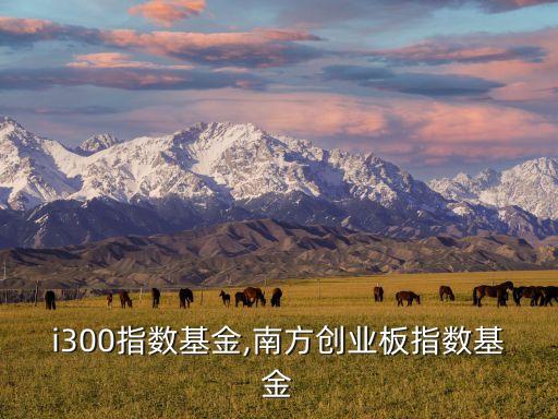 南方i300指數基金,南方創(chuàng)業(yè)板指數基金