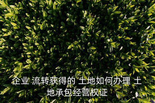 企業(yè) 流轉(zhuǎn)獲得的 土地如何辦理 土地承包經(jīng)營權證