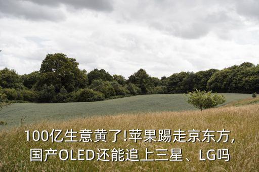 100億生意黃了!蘋果踢走京東方,國產OLED還能追上三星、LG嗎