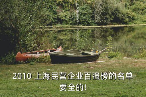 2010 上海民營企業(yè)百強(qiáng)榜的名單要全的!