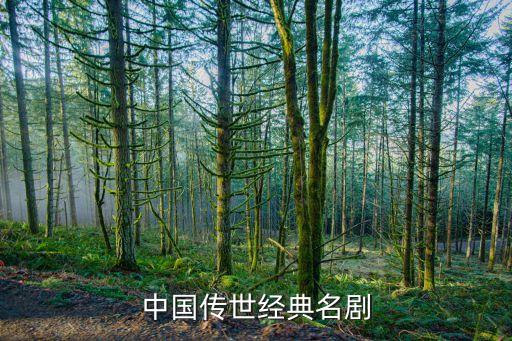 中國傳世經典名劇