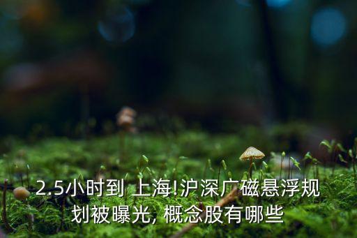 上?？萍紕?chuàng)新中心概念股,科技創(chuàng)新概念股有哪些