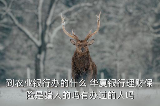 到農(nóng)業(yè)銀行辦的什么 華夏銀行理財(cái)保險(xiǎn)是騙人的嗎有辦過的人嗎