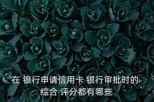 在 銀行申請信用卡 銀行審批時(shí)的 綜合 評分都有哪些