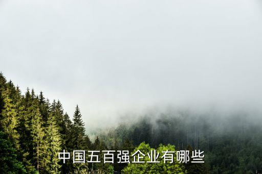 北京國藥集團(tuán)是500強嗎,國藥集團(tuán)2022世界500強