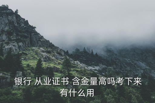  銀行 從業(yè)證書 含金量高嗎考下來(lái)有什么用