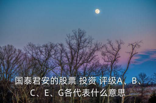 國泰君安的股票 投資 評級A、B、C、E、G各代表什么意思