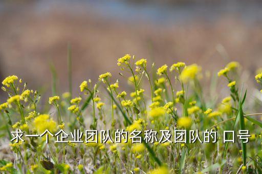 求一個(gè)企業(yè)團(tuán)隊(duì)的名稱及團(tuán)隊(duì)的 口號(hào)、