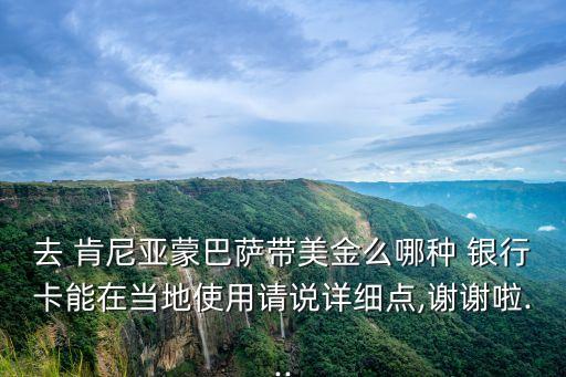 去 肯尼亞蒙巴薩帶美金么哪種 銀行卡能在當(dāng)?shù)厥褂谜堈f詳細點,謝謝啦...